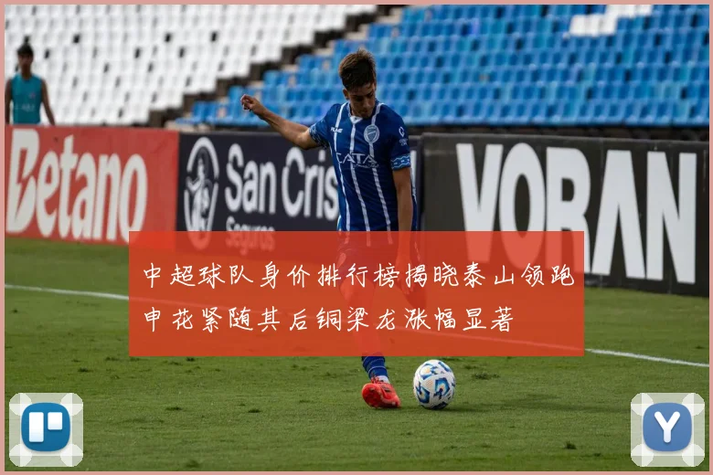 中超球队身价排行榜揭晓泰山领跑申花紧随其后铜梁龙涨幅显著