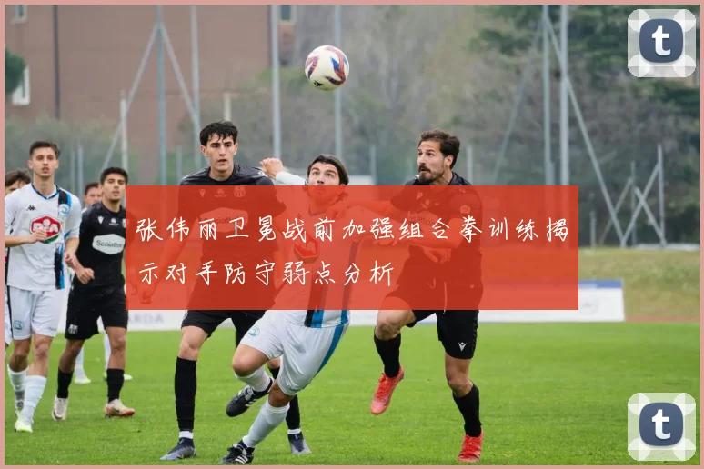 张伟丽卫冕战前加强组合拳训练揭示对手防守弱点分析